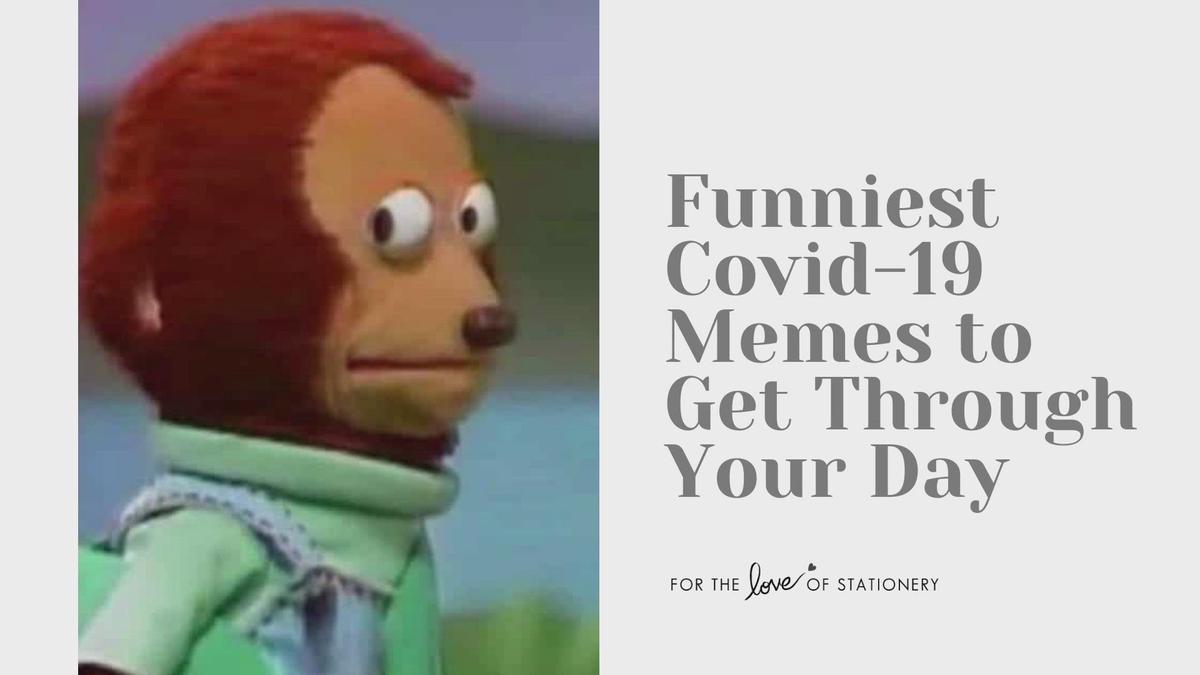 Humix video