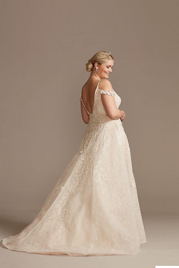 Curvy Bride Wedding Dress Online Beaded Applique Plus Size Wedding Dresses Oleg Cassini