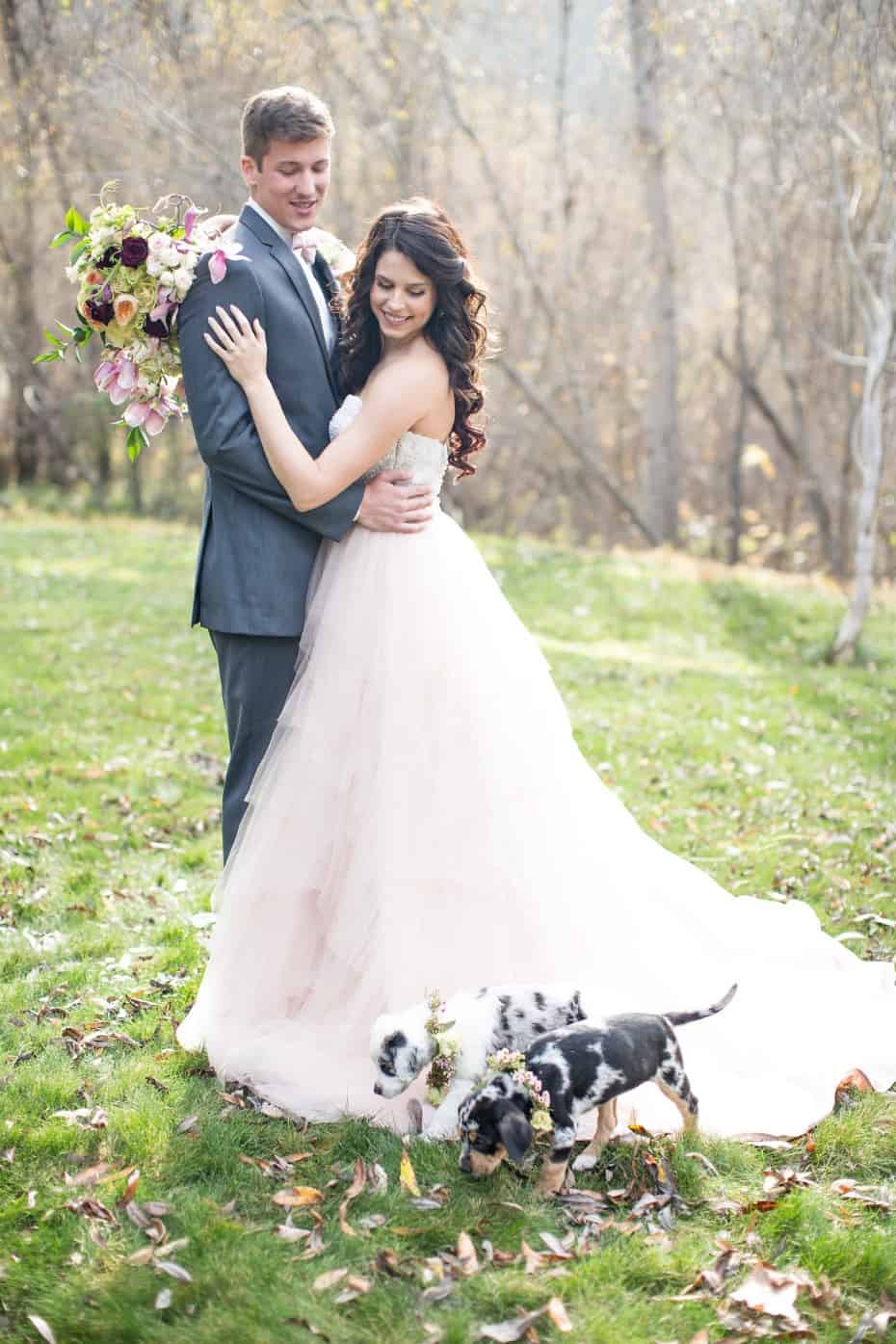 Cute Dalmatians Wedding Puppies Ring Bearer De Joy Photography