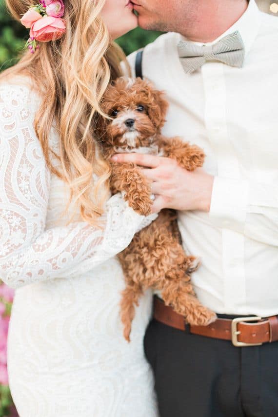 Cute Poodle Wedding Puppy Cutest Puppy Melanie Osorio Photography Matt & Aimee Wedding