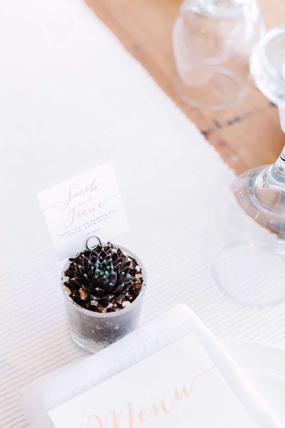 Cute Wedding Favours Cactus Plants Southern Highlands Weddings Inspiration