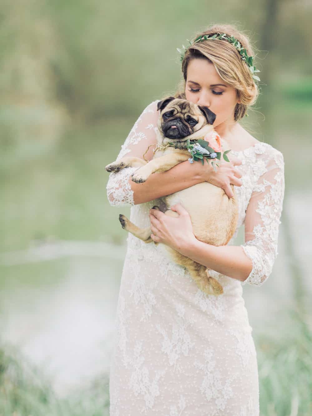 Cute-Wedding-Puppies-Furry-Ring-Bearers-Charli-Photography