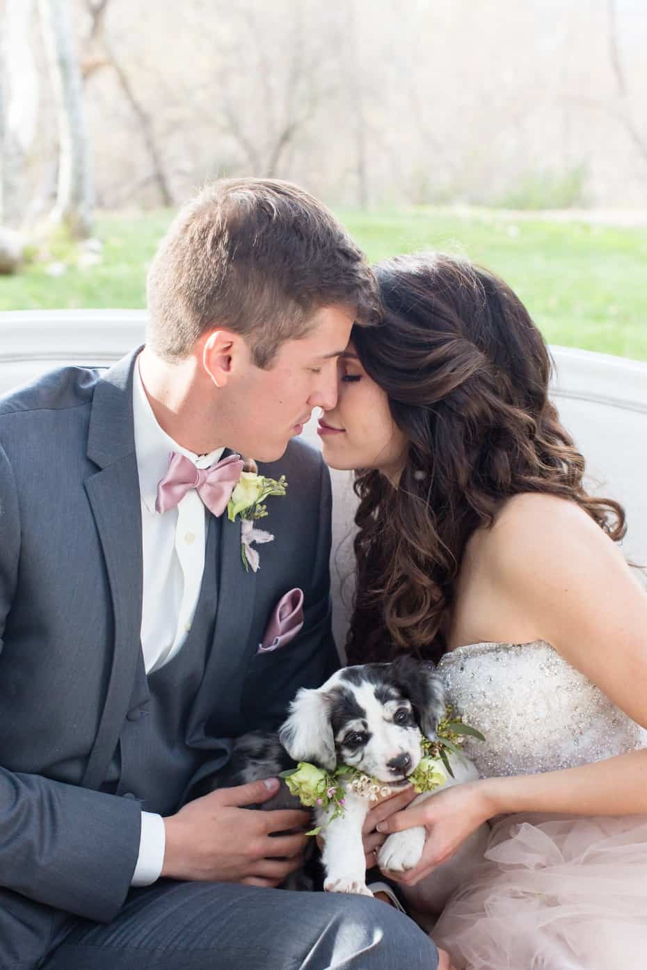 Cute Wedding Puppies Ring Bearer De Joy Photography