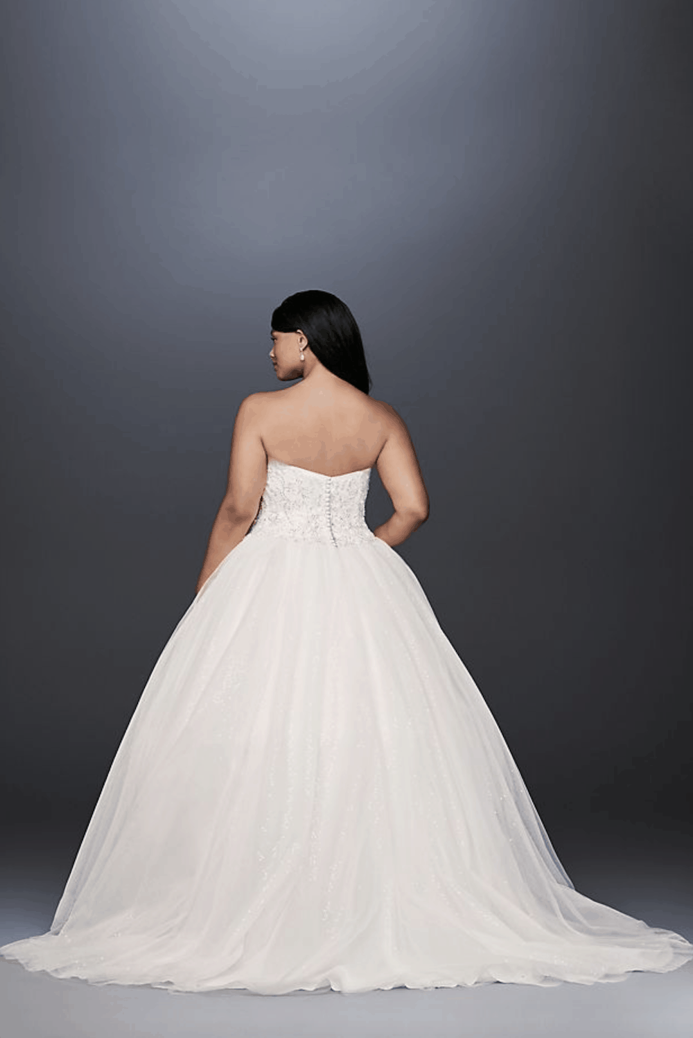 Disney Theme Plus Size Bridal Gowns Fairy Tale Plus Size Wedding Dresses