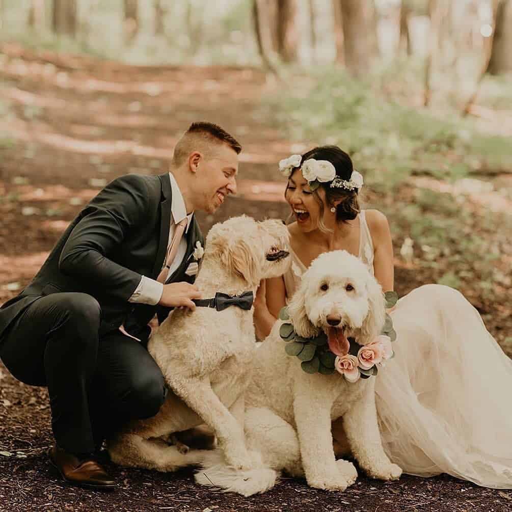 Floral Wedding with Puppies Cute Wedding Puppies Best Friends Alora Rachelle Photography