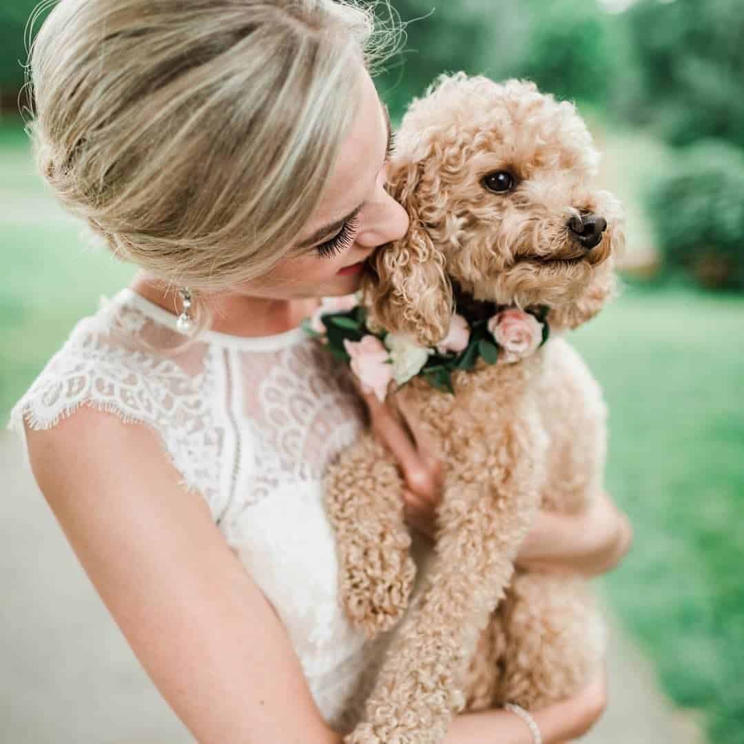 Floral Wedding with Puppies Cute Wedding Puppies Doggo Leah Kelley Photography
