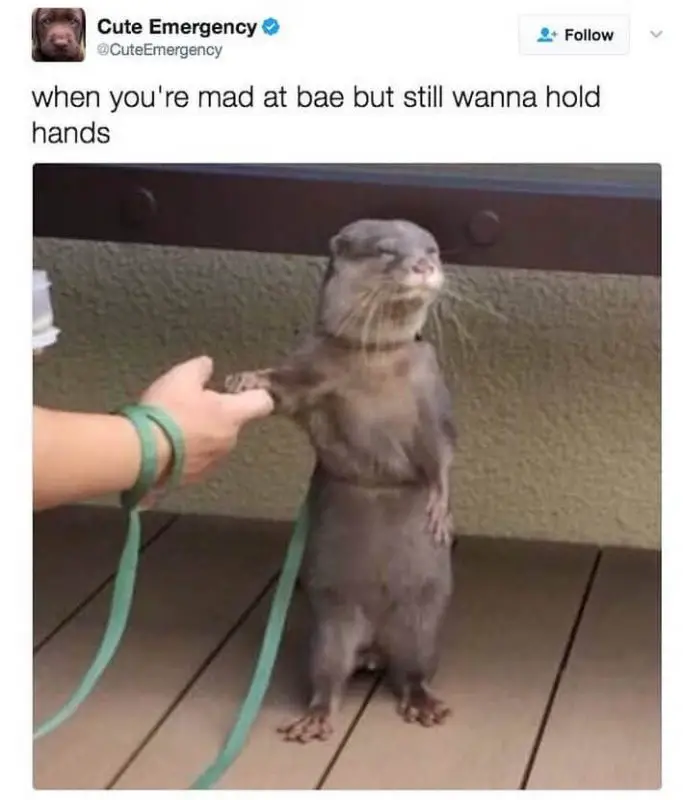 70 Funny Relationship Memes That Will Make You Laugh Out Loud 