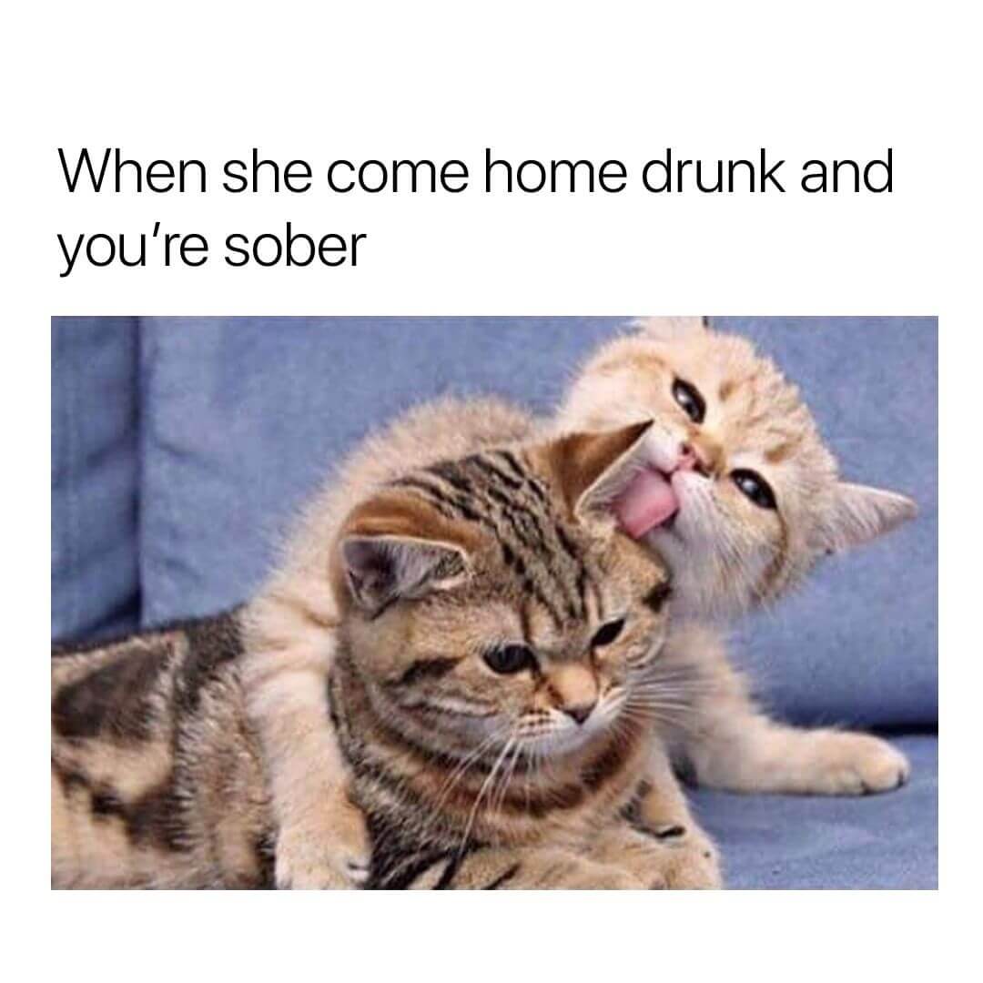 Funny Drunk Girl Memes Relatable Relationship Memes Funny Relationship Memes couplememes.s