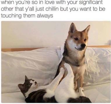 70 Funny Relationship Memes That Will Make You Laugh Out Loud