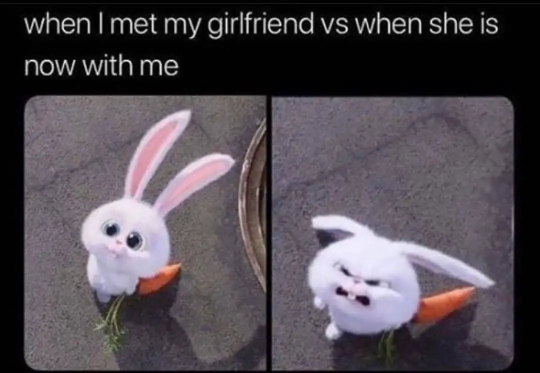 Funny Relationship Memes for Him Funny Girlfriend Memes Angry Bunny Chokoboe