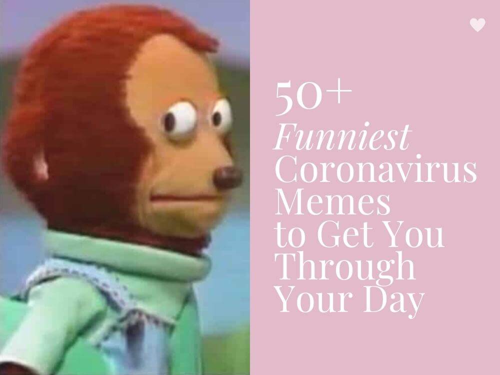 50+ Funny Coronavirus Quarantine Memes to Get Through Your Day