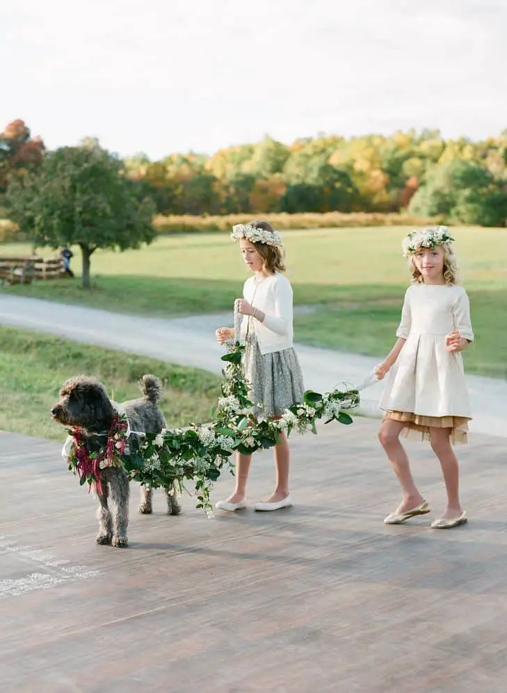Miller Nurseries New York Eclectic Wedding Puppy Lacie Hansen Photography