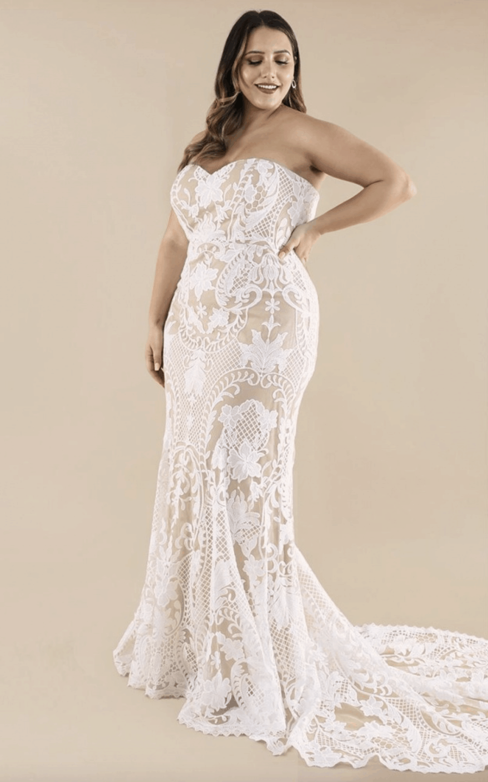 Plus Size Bridal Gowns and Wedding Dresses Perfect for Curvy Brides Embroidered Lace Overlay Long Train 2