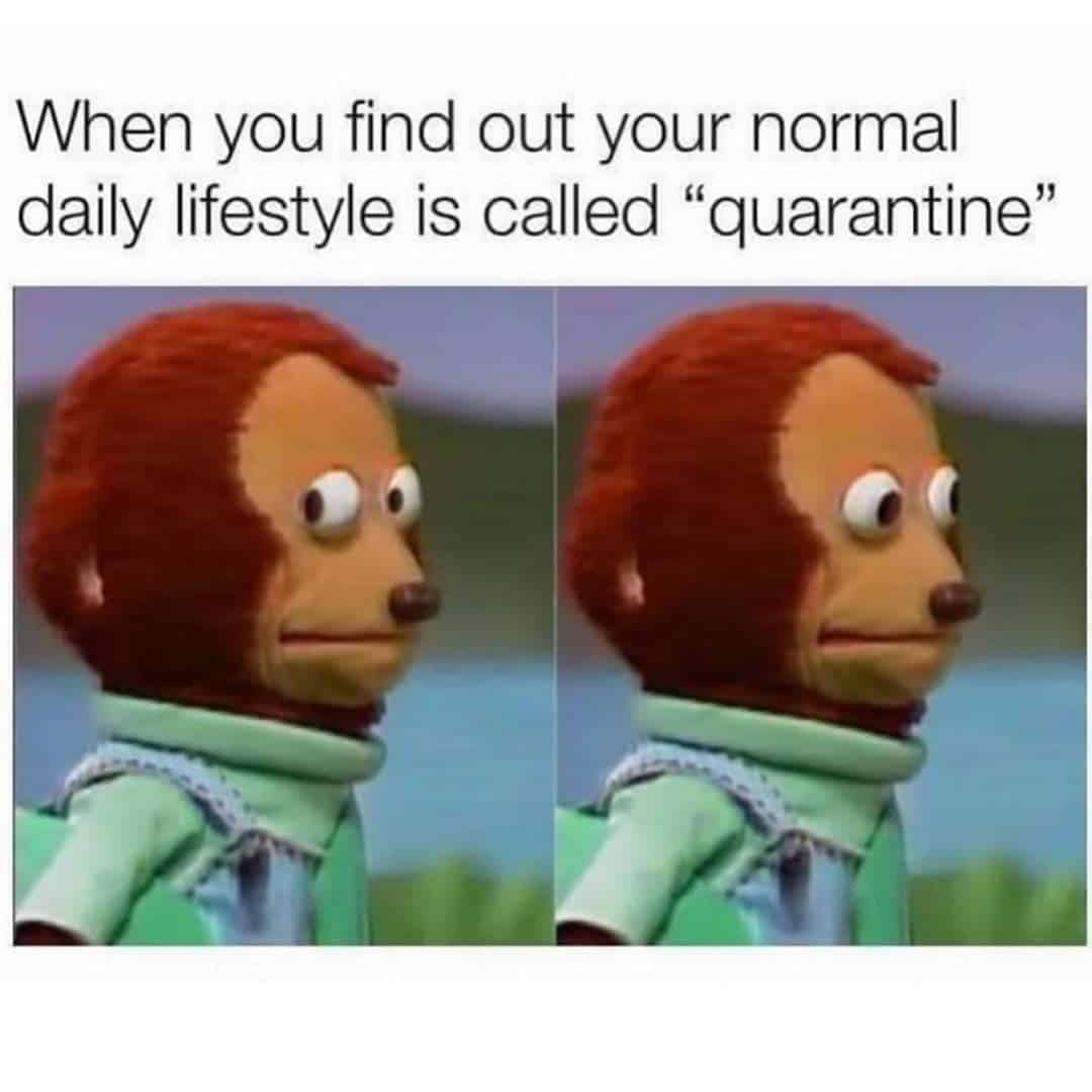 Quarantine Memes Netflix and Chill Coronavirus Normal Daily Lifestyle My Therapist Says