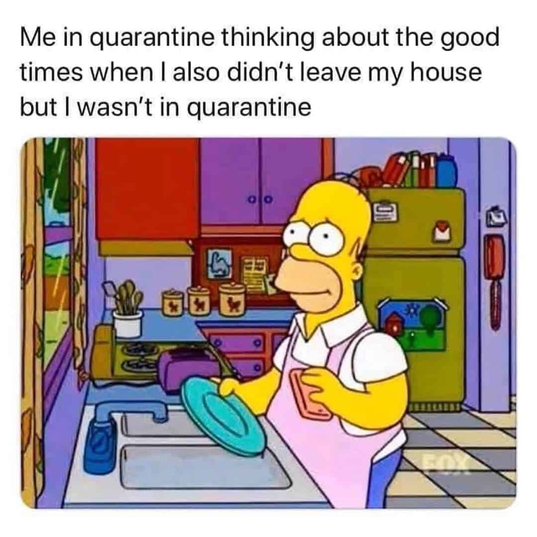 Quarantine Memes Stay at Home Homer Simpson Social Distancing Coronavirus Memes Funny Covid19 Jokes