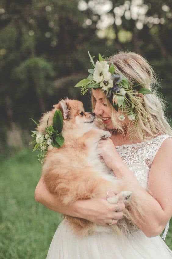 Wedding Dog Bouquet Cute Puppy Indium Photo Wedding Photography