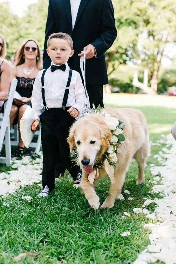 Wedding Golden Retriever Puppy Altar Borrowed & Blue Weddings