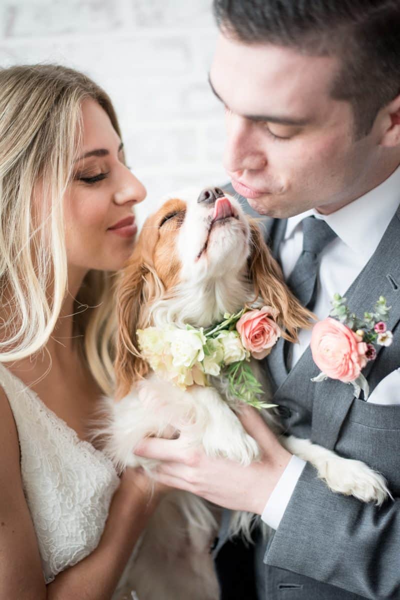 Wedding-Puppies-Cute-Ring-Bearer-Bohemian-Styled-Shoot-Eva-Lin-Photography