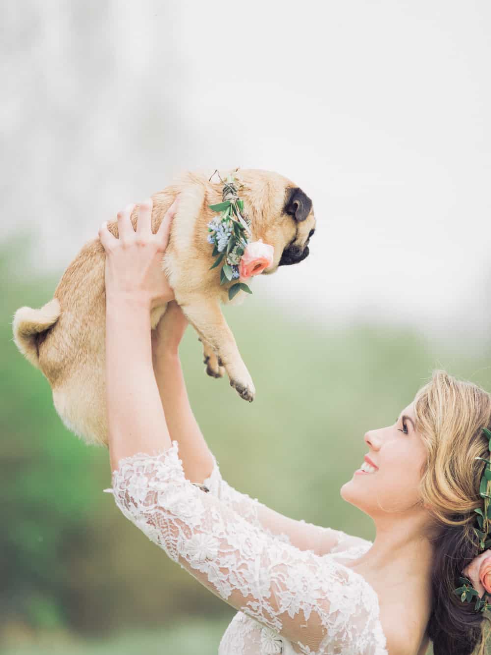 Wedding-Puppies-Cute-Ring-Bearers-Charli-Photography