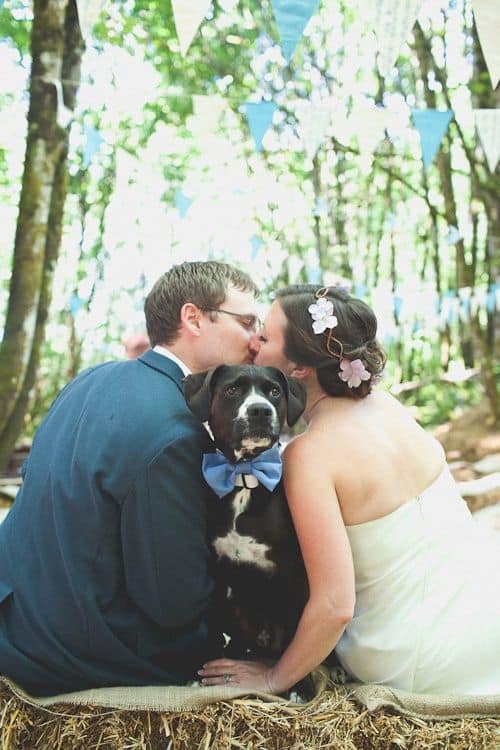 Wedding Puppy Pictures Cutest Puppy at Weddings Ring Bearer Bow Tie