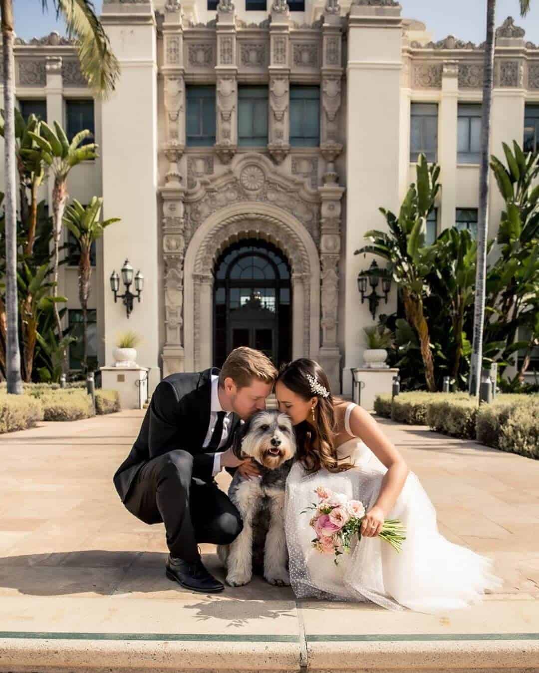 Wedding with Puppies Cute Wedding Puppy Beverly Hills Courthouse Melanee Shale Wolfgang 3 (1)